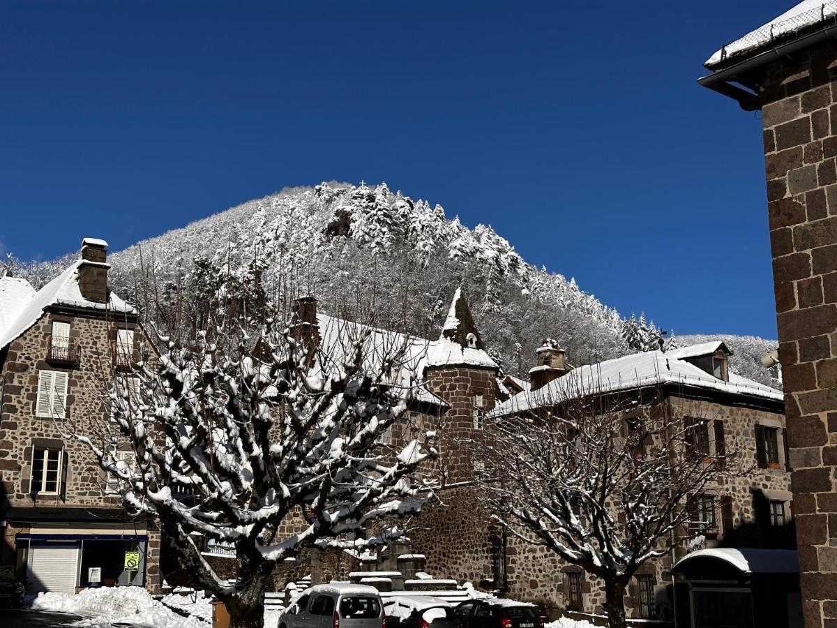 Belle Maison De Ville Au Coeur Du Village De Montagne Vic-sur-Cere Ngoại thất bức ảnh